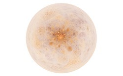 2015 3 07 Dark Days 022-white.jpg